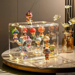 Acrylic Display Case